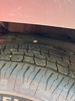 IMG_3462.jpeg