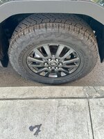 IMG_1515.jpeg