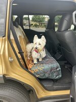 IMG_4700.jpeg