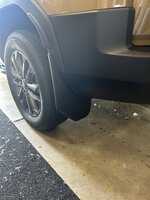IMG_0292.jpeg