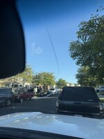 IMG_7982.jpeg