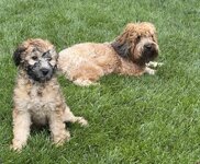 IMG_0804.jpeg