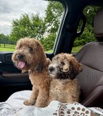 IMG_1079.jpeg