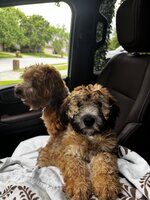 IMG_1041.jpeg