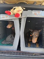 IMG_2067.jpeg