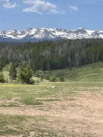 IMG_4291.jpeg