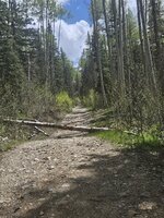 20250608_144112.jpg