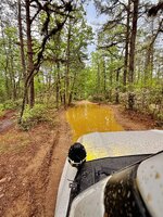 IMG_3333.jpeg