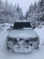 IMG_3132.jpeg