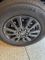 IMG_8558.jpeg
