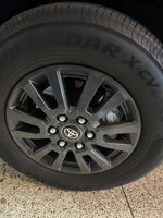 IMG_8559.jpeg