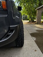 IMG_2117.jpeg