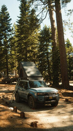 Photo contest thumbnail