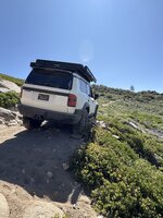 IMG_8711.jpeg