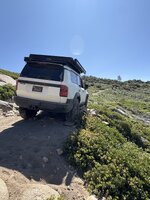 IMG_8710.jpeg