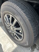 IMG_5424.jpeg