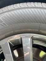 IMG_5425.jpeg