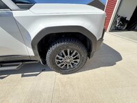 IMG_1184.jpeg