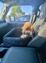 IMG_3244.jpeg