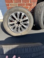 IMG_1706.jpeg