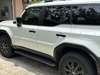 IMG_3037.jpeg