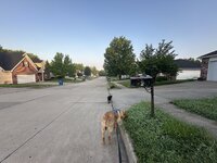 IMG_5348.jpeg