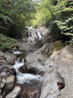 IMG_9349.jpeg