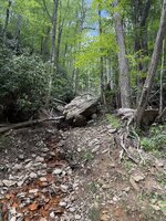 IMG_9348.jpeg