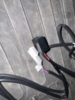 IMG_3918.jpeg