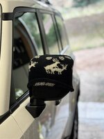 IMG_2376.jpeg