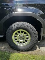 IMG_8545.jpeg