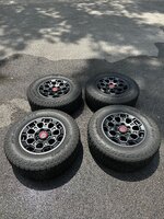 IMG_2065.jpeg