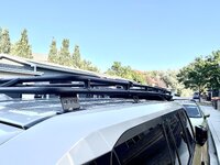 IMG_4378.jpeg