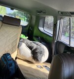 IMG_7316.jpeg