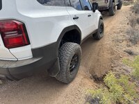 IMG_1595.JPEG