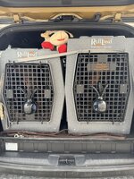 IMG_2084.jpeg