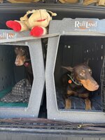 IMG_2068.jpeg