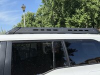 IMG_3103.jpeg