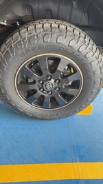 IMG_1756.jpeg