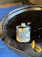IMG_3721.jpeg