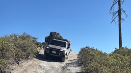 Photo contest thumbnail