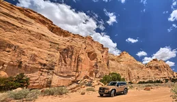 Photo contest thumbnail