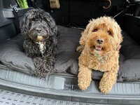 IMG_0842.jpeg