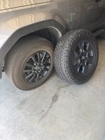 IMG_0569.jpeg