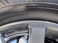 IMG_9568.JPG