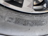 IMG_9584.JPG