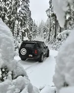 Photo contest thumbnail