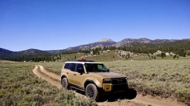 Photo contest thumbnail