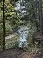 IMG_3202.webp