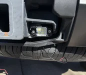 Bacpup lights 1.webp